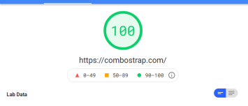 Page Speed Performance